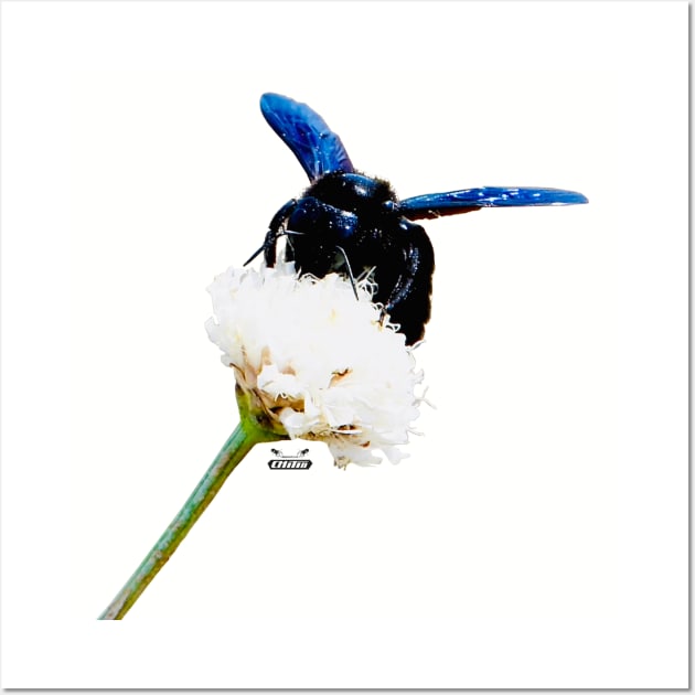 Blue Bee Wall Art by Wolf Art / Swiss Artwork Photography